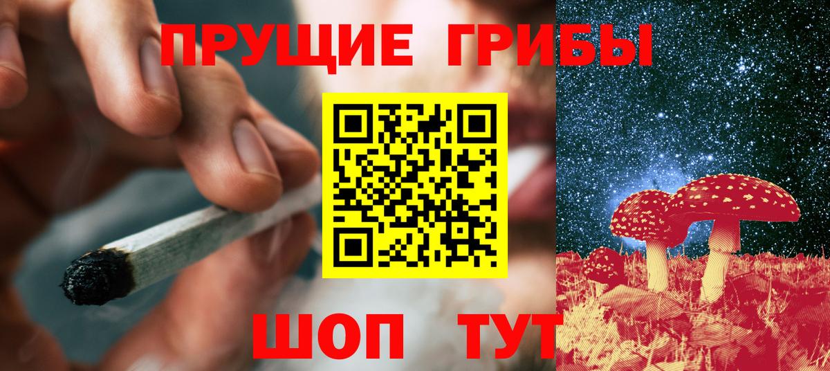 Осинники  Галлюциногенные грибы Magic Shrooms  Вход с VPN 